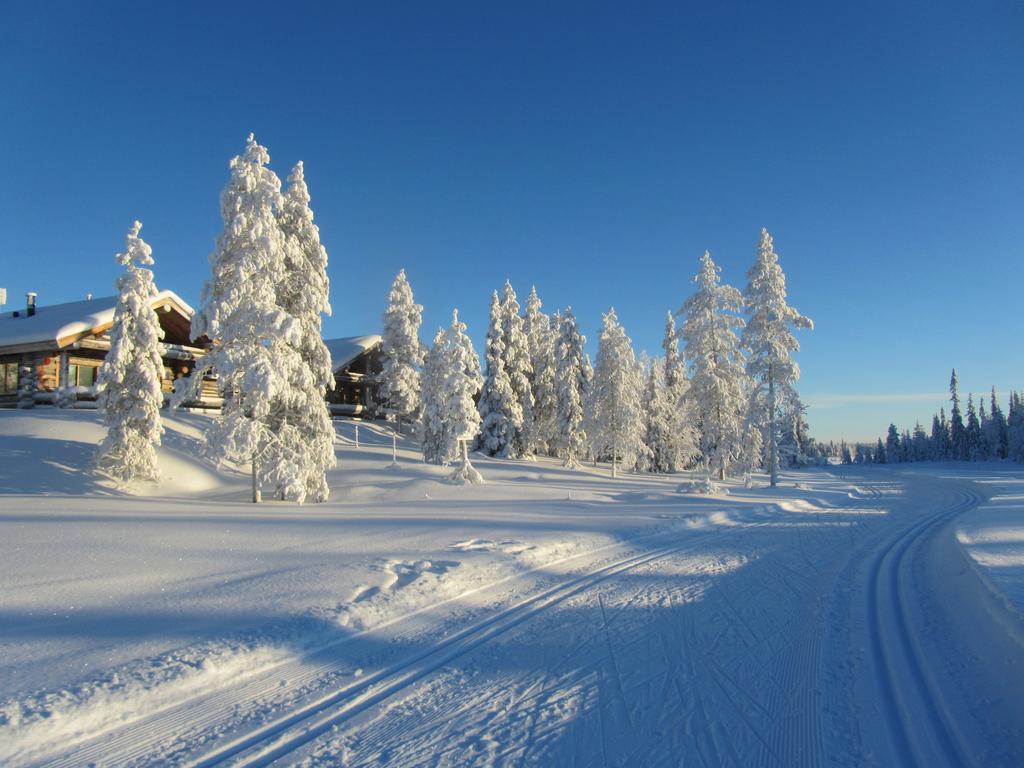 Rukakaiku Cottages Oda fotoğraf